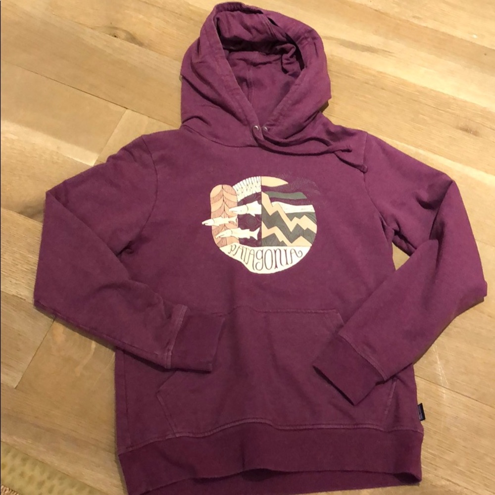 Patagonia pink hoodie